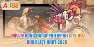 Đấu Trường Đá Gà Philippines Tỷ Đô Khốc Liệt Nhất 2026