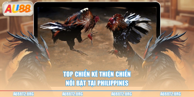 Top chiến kê thiện chiến nổi bật tại Philippines
