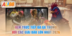 Xem Trực Tiếp Đá Gà Thomo Với Các Giải Đấu Lớn Nhất 2026